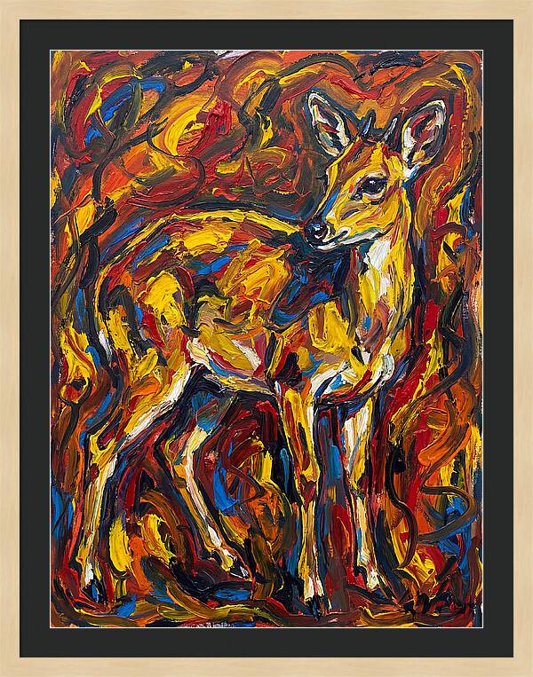 Yellow Banded Duiker In Vibrant Hues