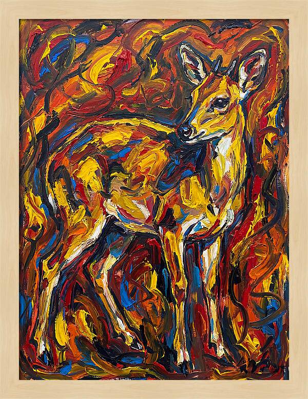 Yellow Banded Duiker In Vibrant Hues