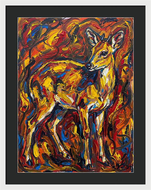 Yellow Banded Duiker In Vibrant Hues
