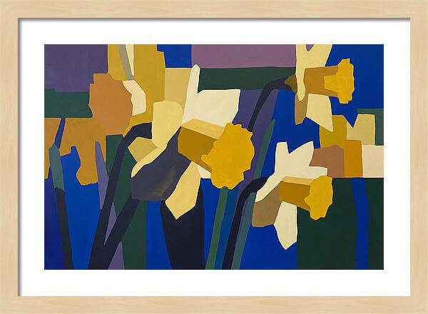 Yellow Daffodil Trumpets