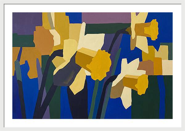 Yellow Daffodil Trumpets