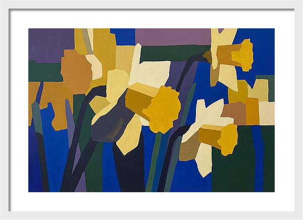 Yellow Daffodil Trumpets