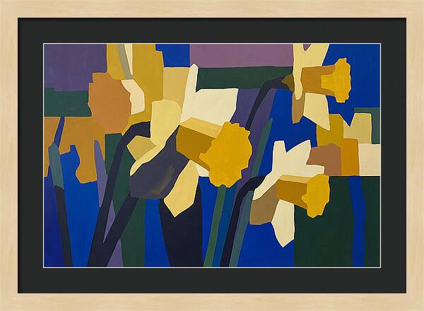 Yellow Daffodil Trumpets