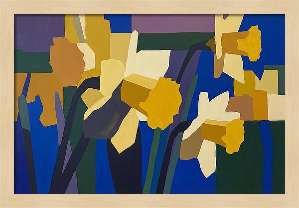 Yellow Daffodil Trumpets