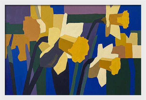 Yellow Daffodil Trumpets