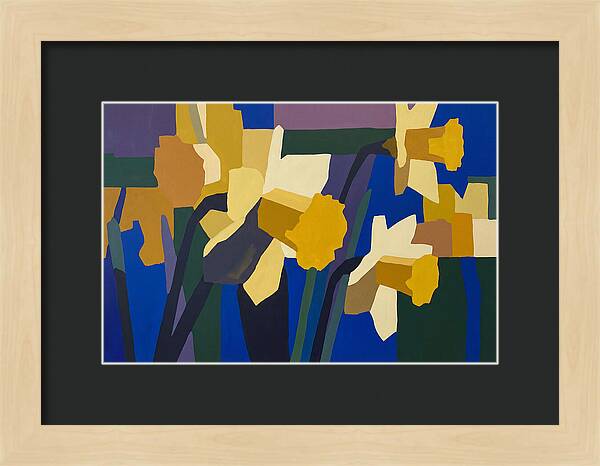 Yellow Daffodil Trumpets