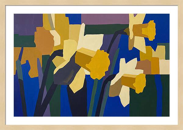 Yellow Daffodil Trumpets