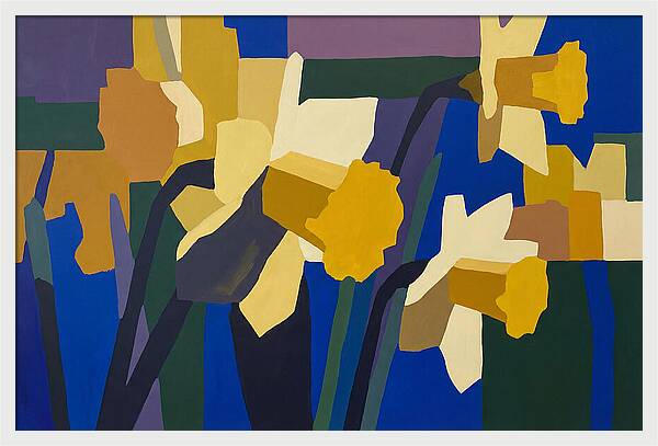 Yellow Daffodil Trumpets