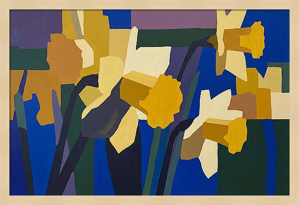 Yellow Daffodil Trumpets