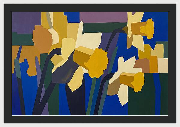 Yellow Daffodil Trumpets