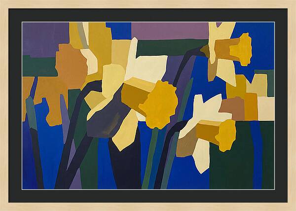 Yellow Daffodil Trumpets