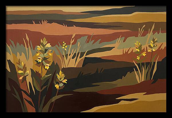 Yellow Rattle In The Meadow