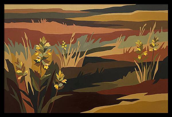 Yellow Rattle In The Meadow