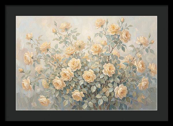 Yellow Rose Bush In Bloom