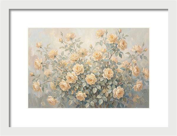 Yellow Rose Bush In Bloom