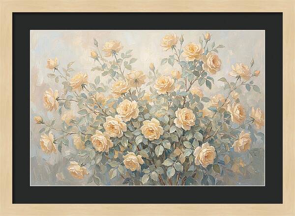 Yellow Rose Bush In Bloom