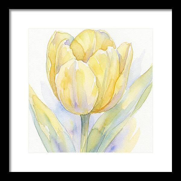 Yellow Tulip Blossom