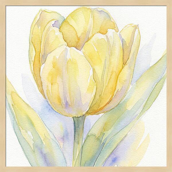 Yellow Tulip Blossom