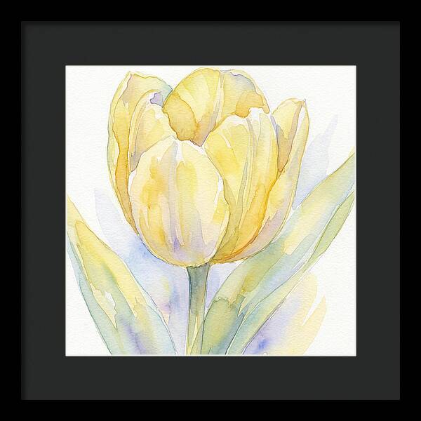 Yellow Tulip Blossom