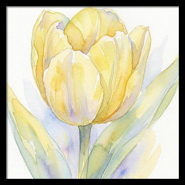 Yellow Tulip Blossom