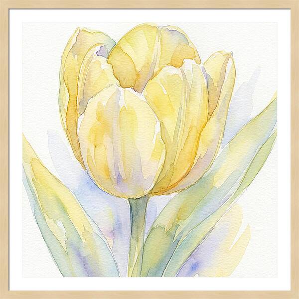 Yellow Tulip Blossom