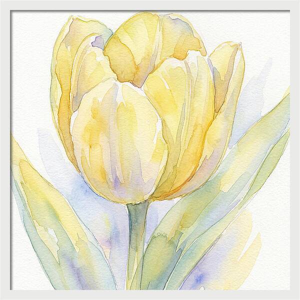 Yellow Tulip Blossom