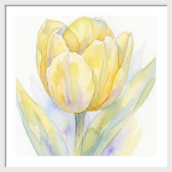 Yellow Tulip Blossom