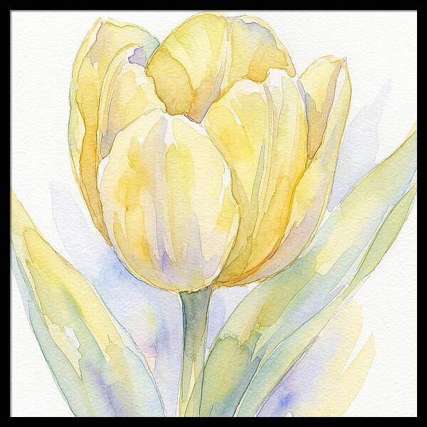Yellow Tulip Blossom