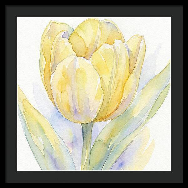 Yellow Tulip Blossom