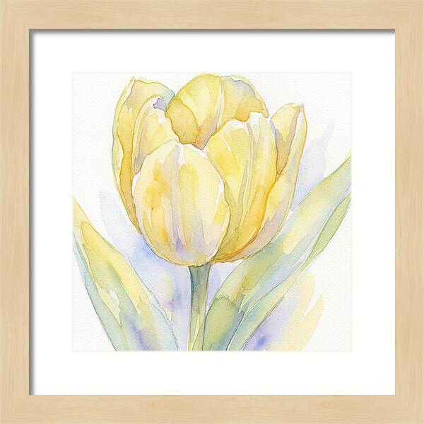 Yellow Tulip Blossom