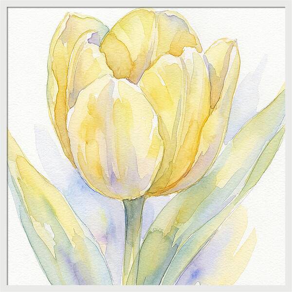 Yellow Tulip Blossom