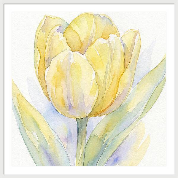 Yellow Tulip Blossom