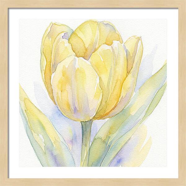 Yellow Tulip Blossom