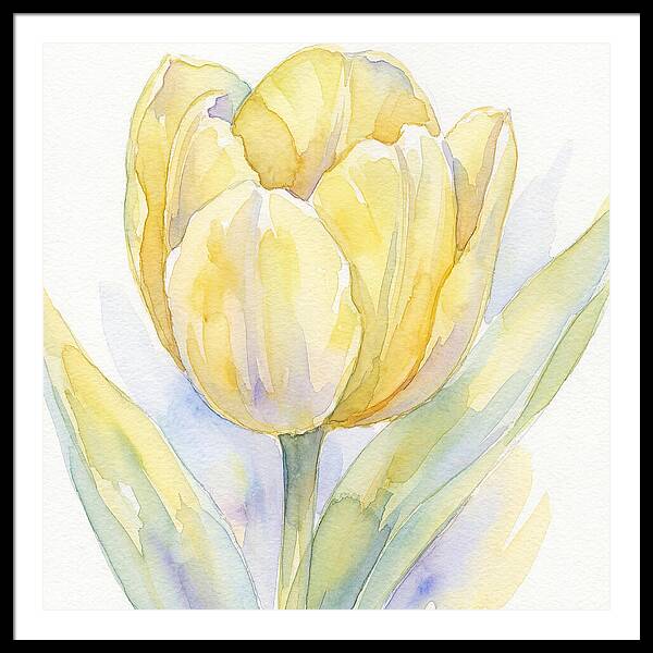 Yellow Tulip Blossom