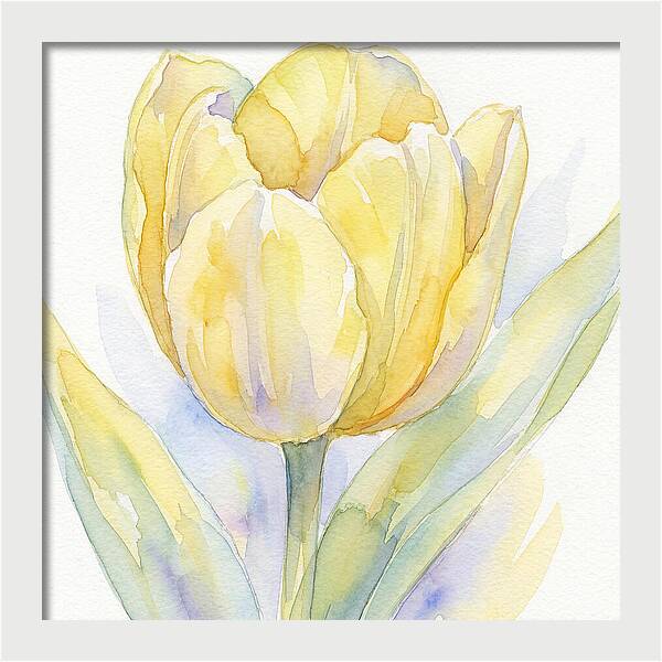 Yellow Tulip Blossom
