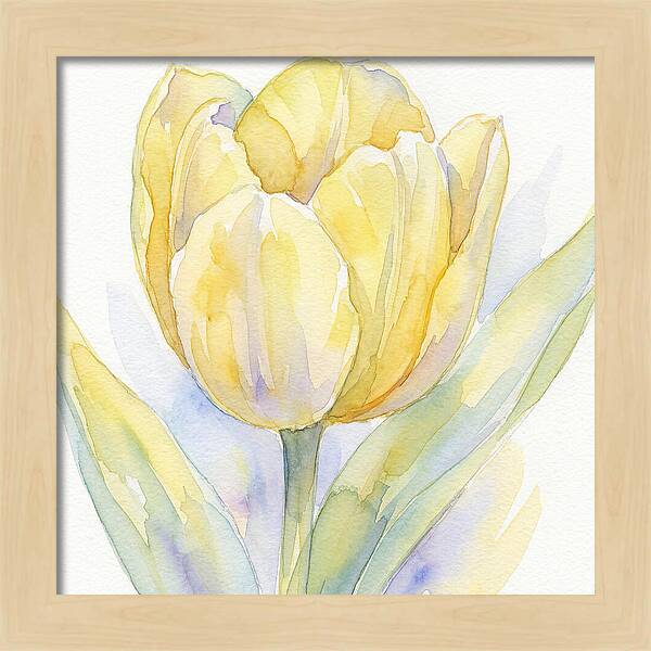 Yellow Tulip Blossom