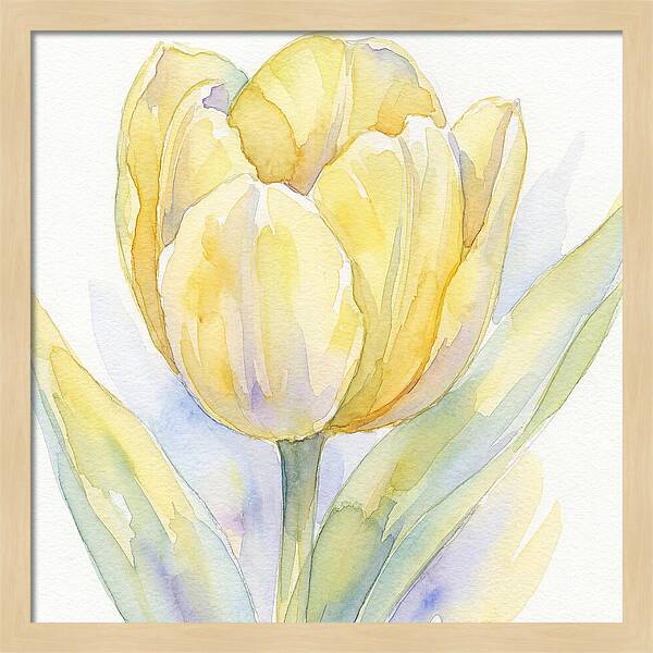 Yellow Tulip Blossom