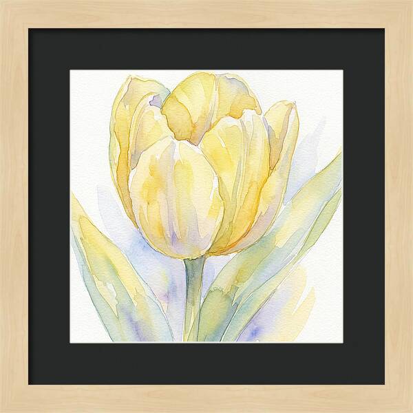 Yellow Tulip Blossom