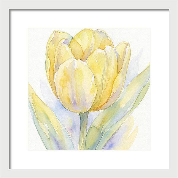Yellow Tulip Blossom