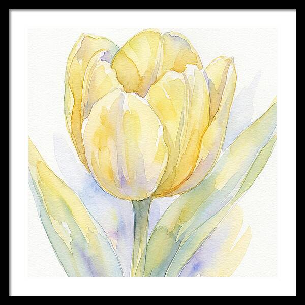 Yellow Tulip Blossom