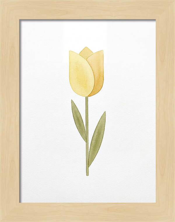 Yellow Tulip Elegance