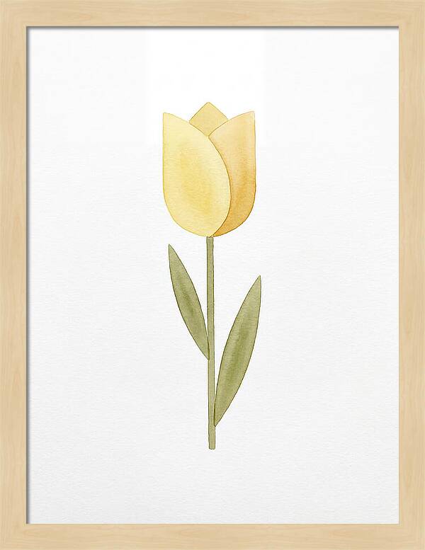 Yellow Tulip Elegance