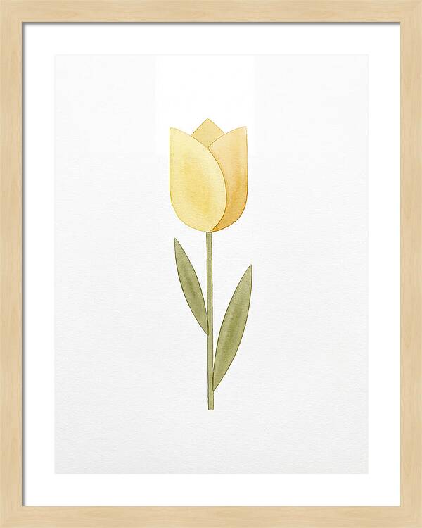 Yellow Tulip Elegance