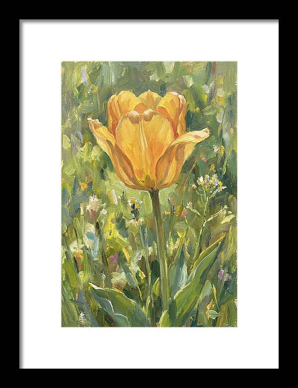 Yellow Tulip In Bloom