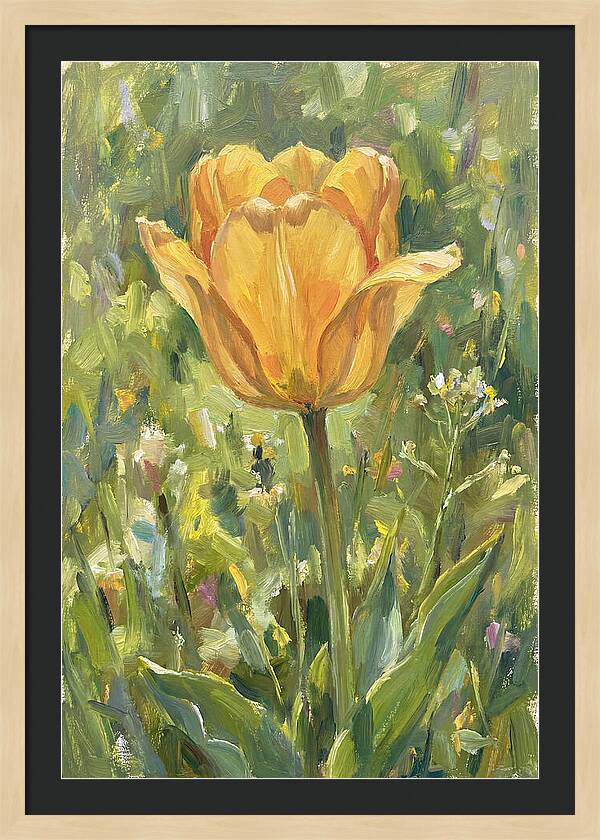 Yellow Tulip In Bloom