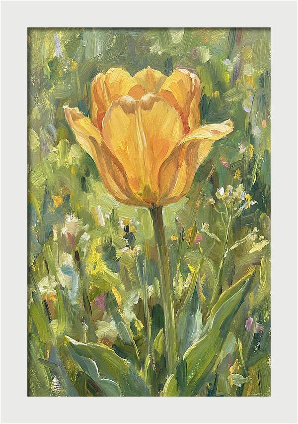 Yellow Tulip In Bloom