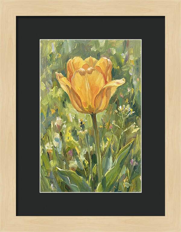 Yellow Tulip In Bloom