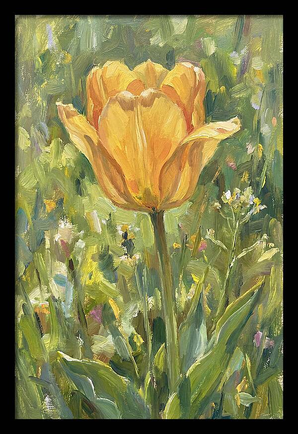 Yellow Tulip In Bloom