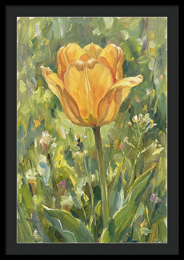 Yellow Tulip In Bloom