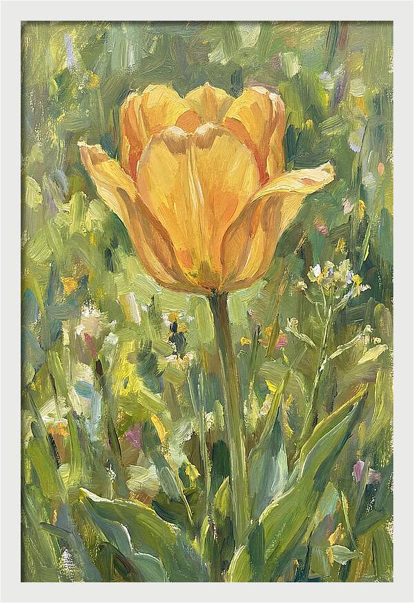Yellow Tulip In Bloom